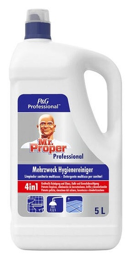 [OND-O208131] Sanitairreiniger Mr. Proper 5l