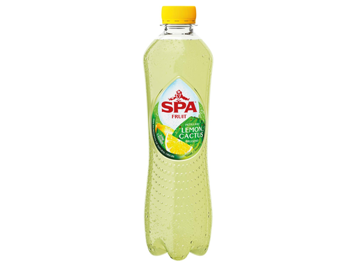 [TIM-051818] Frisdrank Spa Fruit Still Lime-ginger 40cl ( 24)