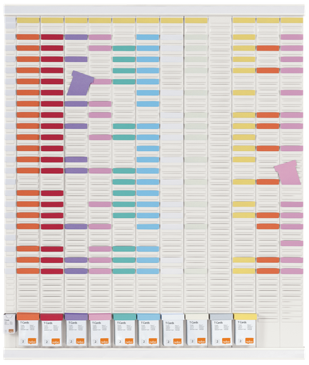 [ACCO-1915626] T-kaarten Nobo planner met 13 panelen