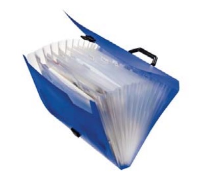 [OUT-177556] Waaiermap Esselte 12 verdelingen zwart