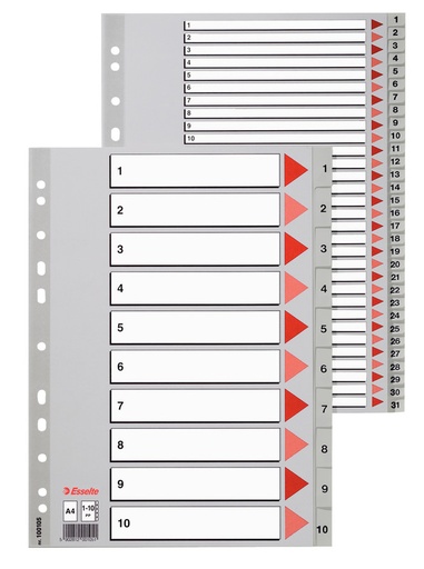 [ESS-100105] Tabbladen Esselte PP A4 1-10 11-gaats grijs