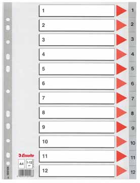 [ESS-100106] Tabbladen Esselte PP A4 1-12 11-gaats grijs