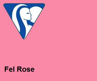 Clairefontaine DIN A4 120gr felroze (250) - FSC Mix credit