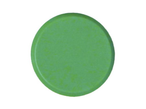 [TIM-B62660] Magneet Bouhon Ø20mm groen (10)