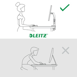 [ESS-64890085] Enkelvoudige Monitorarm Leitz Ergo lichtgrijs