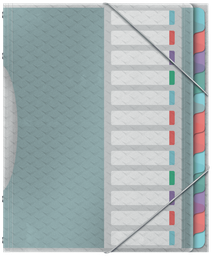 [ESS-626256] Sorteermap Esselte Colour'Breeze PP A4 12-vaks assorti