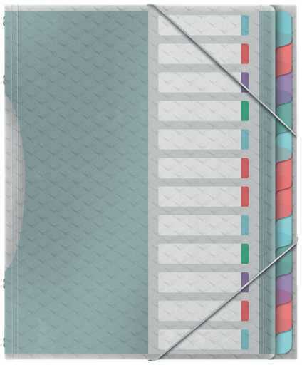 [ESS-626256] Sorteermap Esselte Colour'Breeze PP A4 12-vaks assorti