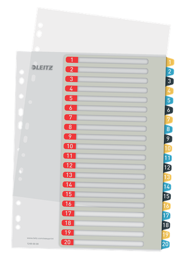 [ESS-12490000] Tabbladen Leitz Cosy PP A4 maxi 1-20 11-gaats assorti