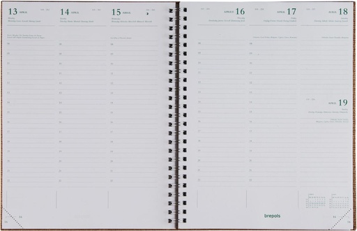 [AGE-1868594] Agenda Brepols agenda Ecotiming Kazar 171x220mm zestalig assorti 2026 spiraalgebonden 1 week/2 pagina's