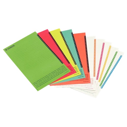 [ESS-325800] Ruiterstroken Esselte Orgarex voor verticale hangmap assorti (250)