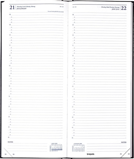 [AGE-111255] Agenda Brepols Saturnus Lima 128x330mm viertalig assorti 2026 1 dag/pagina