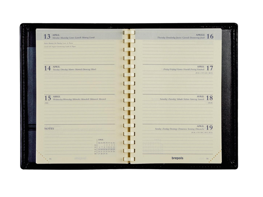 [AGE-8343302] Agenda Brepols Delta Palermo 2027 bruin