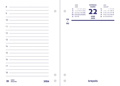 [AGE-856902] Dagomlegger Brepols 84x120mm 2026