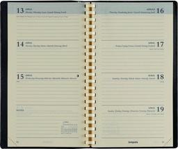 [AGE-736302Z] Zakagenda Brepols Interplan Palermo 89x160mm zestalig zwart 2025 1 week/2 pagina's