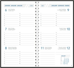 [AGE-A2014P] Zakagenda Aurora Visuplan 20P Seta 90x165mm zestalig assorti 2025 1 week/2 pagina's