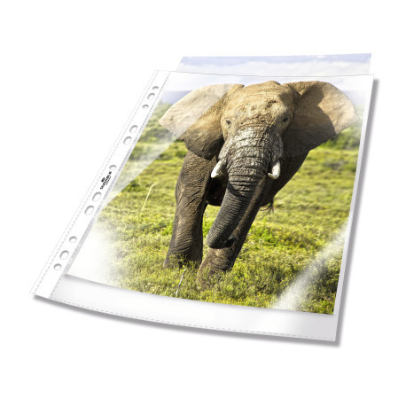 [DUR-265819] Showtas Durable Business PP A4 transparant (100) 