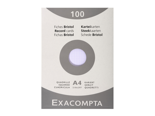 [EXA-13206E] Steekkaart Exacompta 210x297 geruit wit (100)