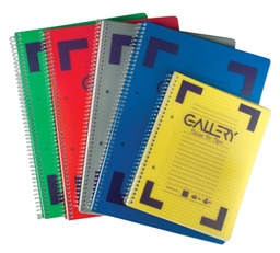 [TIM-01610] Spiraalschrift Gallery traditional PP A4 geruit afscheurbaar 160blz assorti