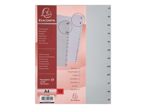[TIM-18120E] Tabbladen Exacompta PP A4 jan-dec 11-gaats grijs