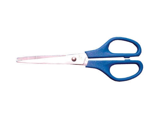 [TIM-20016] Schaar Bouhon inox 16cm blauw
