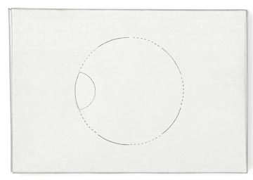 [TIM-204041] Hygiënezakje Tork Sanitary Towel B5 (25)