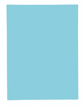 [TIM-348006E] Dossiermap Exacompta Super 160 karton A4 160g met 1 klep blauw (100)