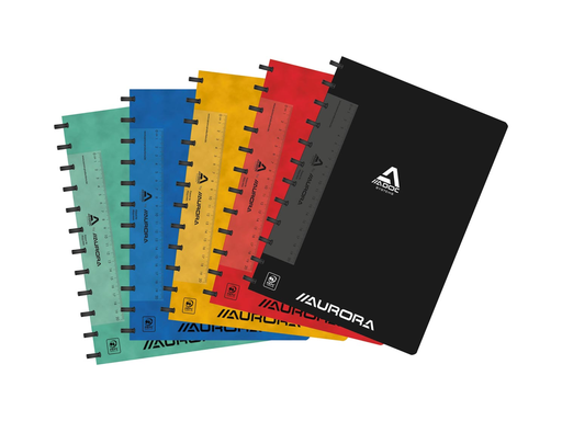 [TIM-6055100] Schrift Adoc Classic Lyon karton A4 geruit 144blz met meetlat en kantlijn assorti