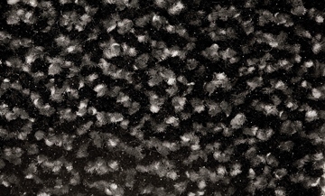 [TIM-FC90GR] Deurmat Floortex Ultimat 60X90 grijs