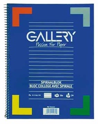 [TIM-G01072] Spiraalschrift Gallery A4 gelijnd 160blz assorti