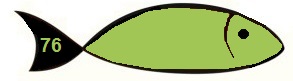 [PAP-RBA31676] Rainbow DIN A3 160gr groen 76 (250) - FSC Mix credit
